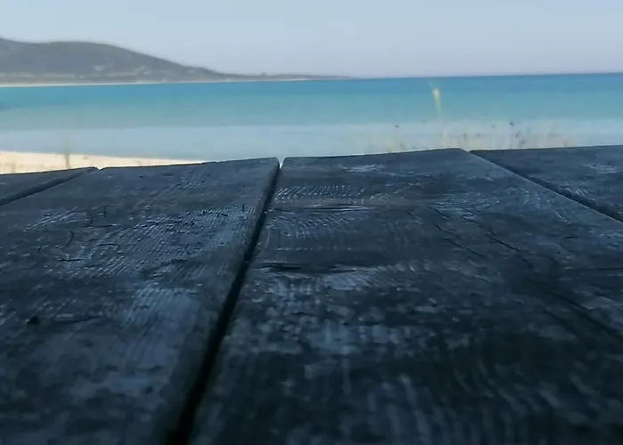 Sea Paradise