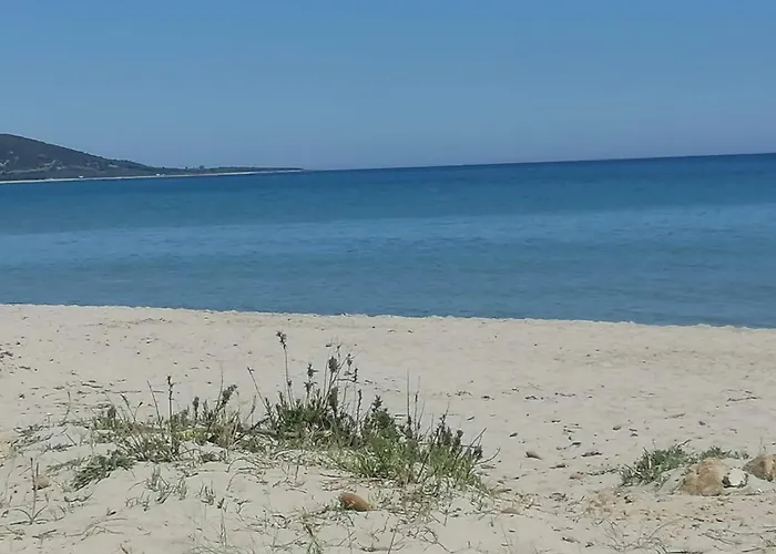 Sea Paradise