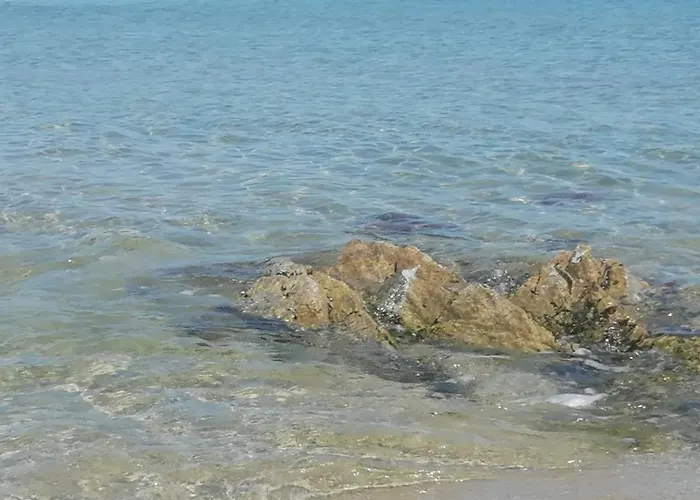 Sea Paradise