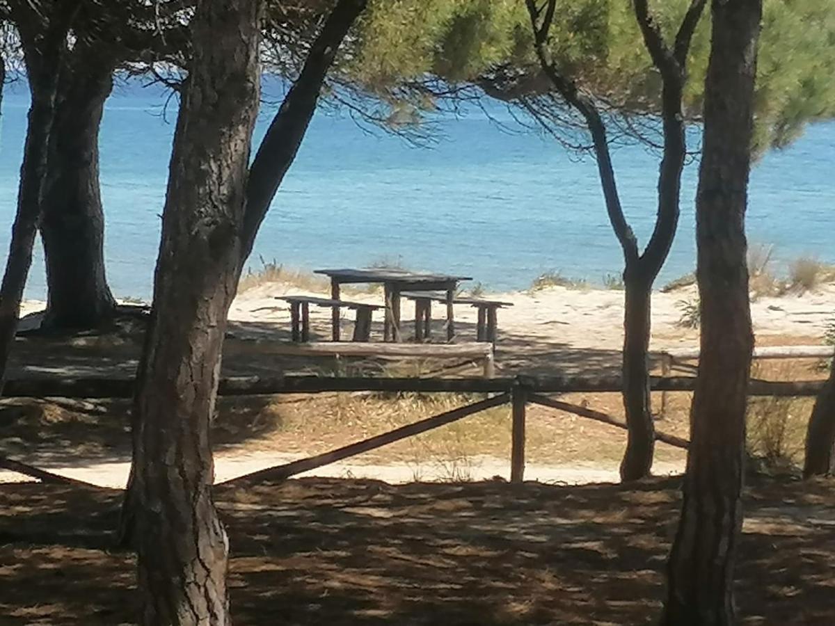 Sea Paradise Privatunterkunft *