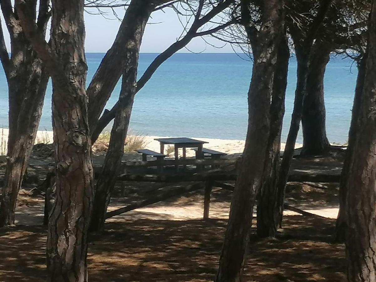 Sea Paradise