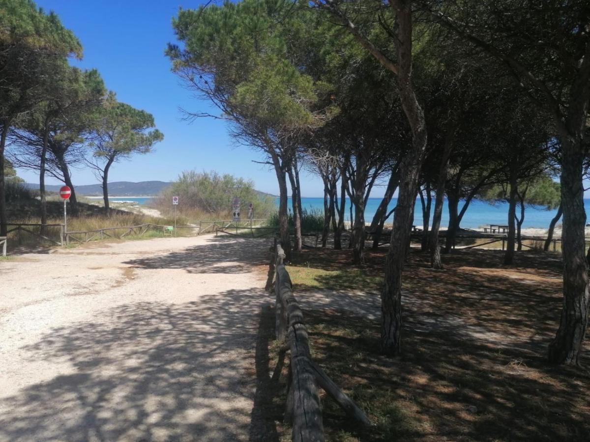 Sea Paradise Homestay San Giovanni (Nuoro)